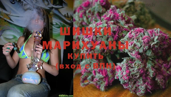 ешки Абаза
