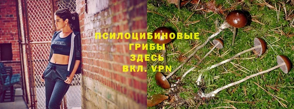 СК Алексеевка