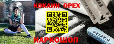сатива Новодвинск