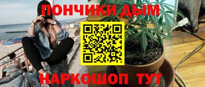 сатива Новодвинск