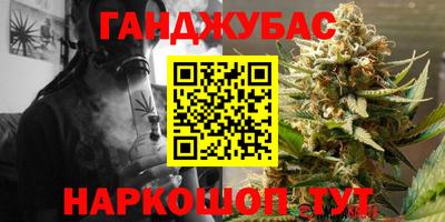 сатива Новодвинск