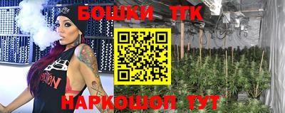 сатива Новодвинск