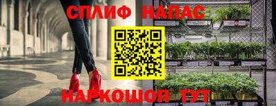 гашиш Новокубанск