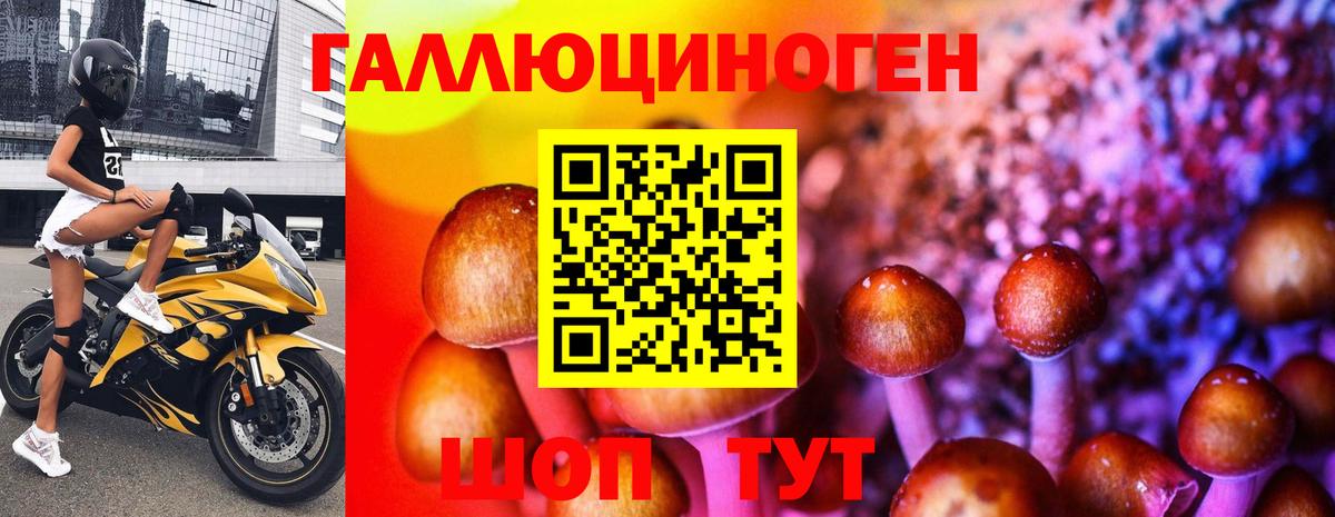 Тольятти  Галлюциногенные грибы Magic Shrooms  Вход с VPN 